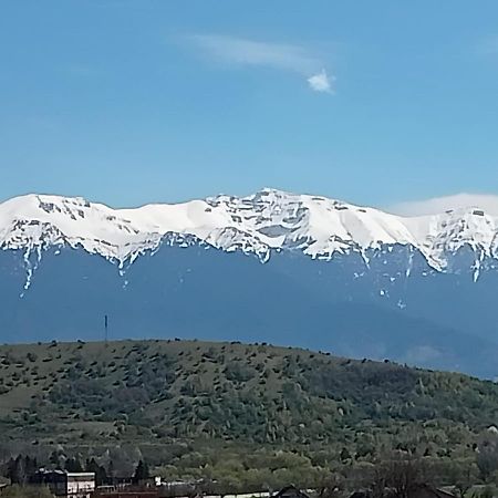 Le Nid D'Adam Apartment Zărneşti Bagian luar foto