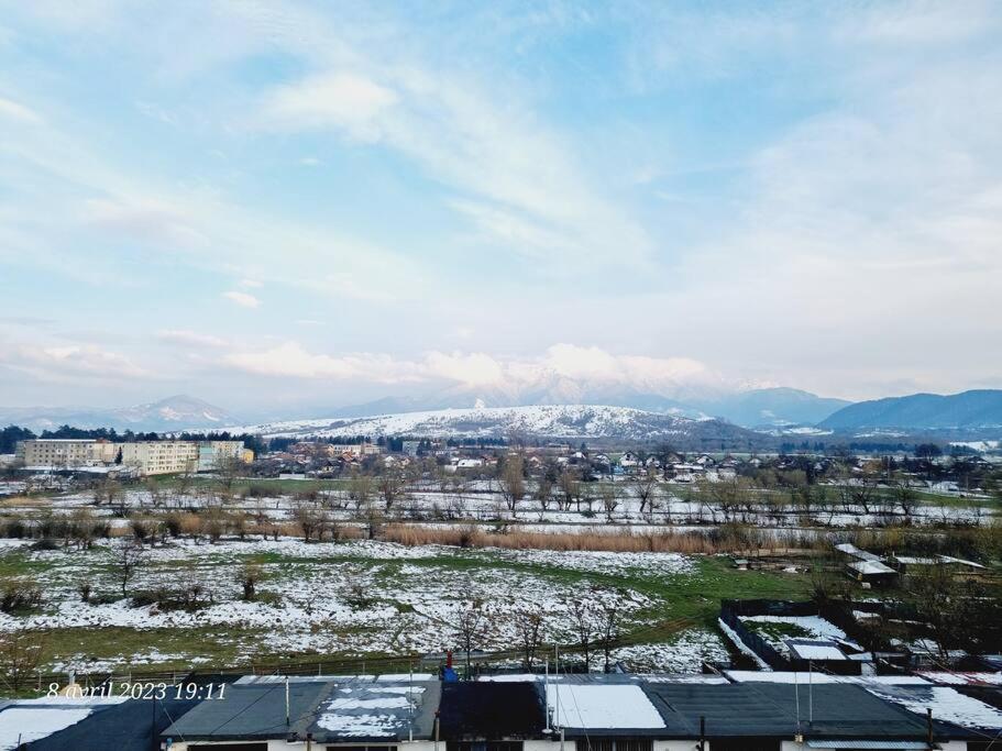 Le Nid D'Adam Apartment Zărneşti Bagian luar foto
