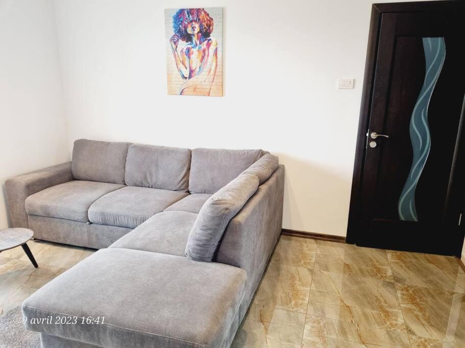 Le Nid D'Adam Apartment Zărneşti Bagian luar foto
