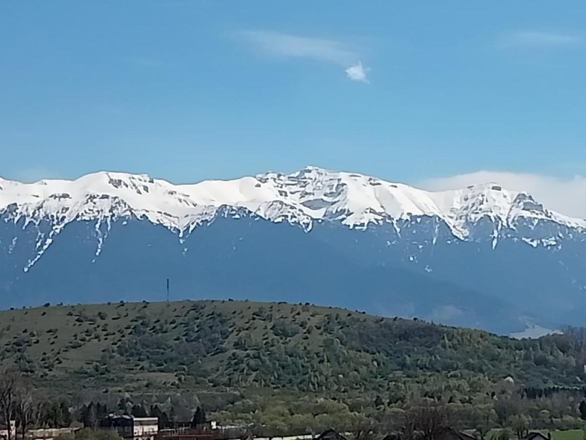 Le Nid D'Adam Apartment Zărneşti Bagian luar foto